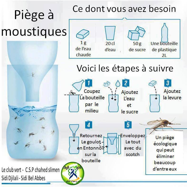 Piège à moustique naturel : solutions efficaces contre les moustiques