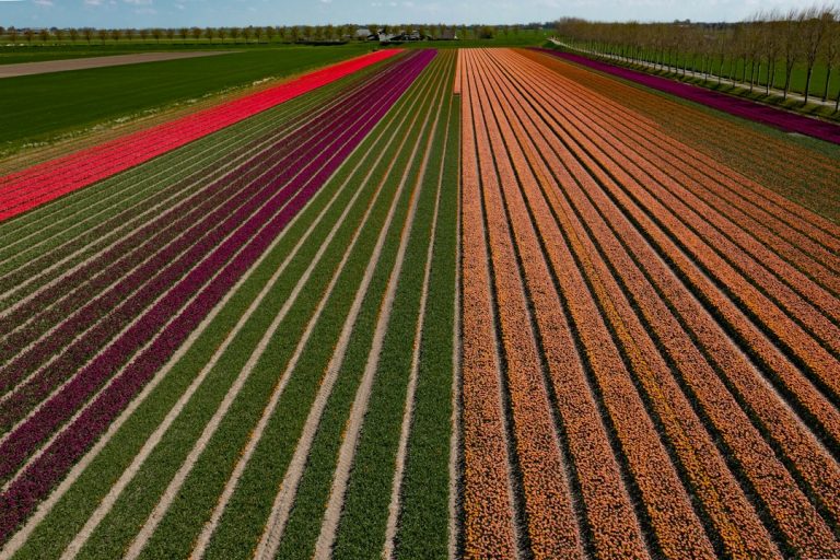 En Haute-Savoie, Laure vit en autonomie depuis 30 ans avec un potager d’un hectare, sans supermarché